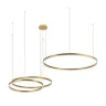 Светильник подвесной Loft it Ring 10017/3L