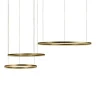 Светильник подвесной Loft it Ring 10017/3L