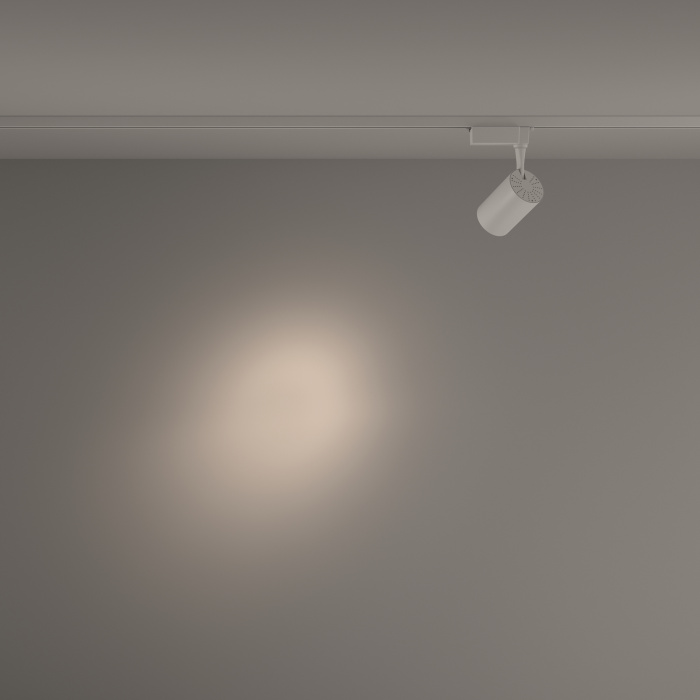 Трековый светильник Maytoni Vuoro TR003-1-10W4K-S-W