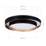 Потолочный светильник evoluce CROSBY SLE6009-402-01