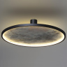 Настенно-потолочный светильник Odeon Light Stoflake 5078/55L