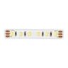 Светодиодная лента ST Luce 24В 14Вт 2700К-6000К 5м IP20 ST5003.014.20CCT