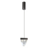 Подвесной светильник Odeon Light Ray 6677/5L
