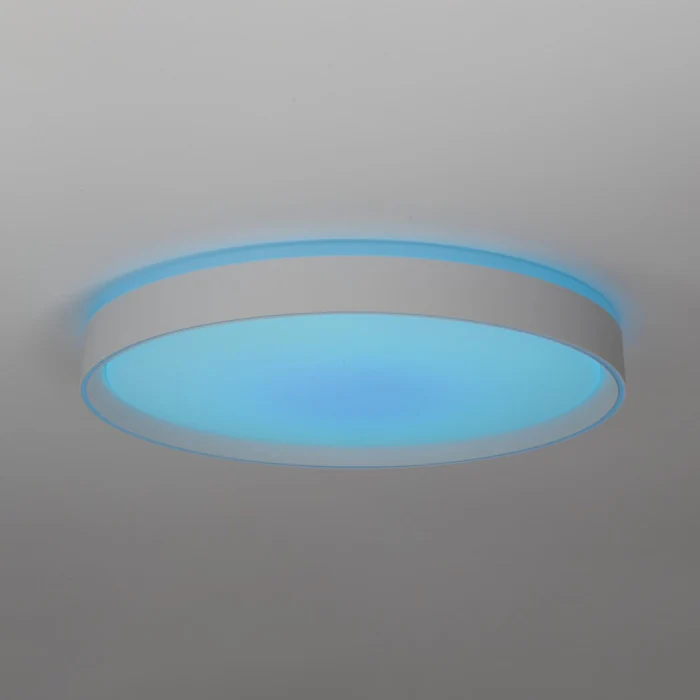 Потолочный светильник Citilux Boss CL751450G