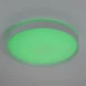 Потолочный светильник Citilux Boss CL751450G