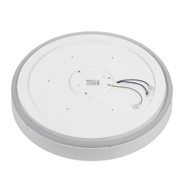 Потолочный светильник Citilux Boss CL751450G