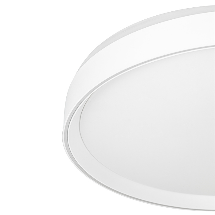 Светильник потолочный Citilux BOSS CL751450G