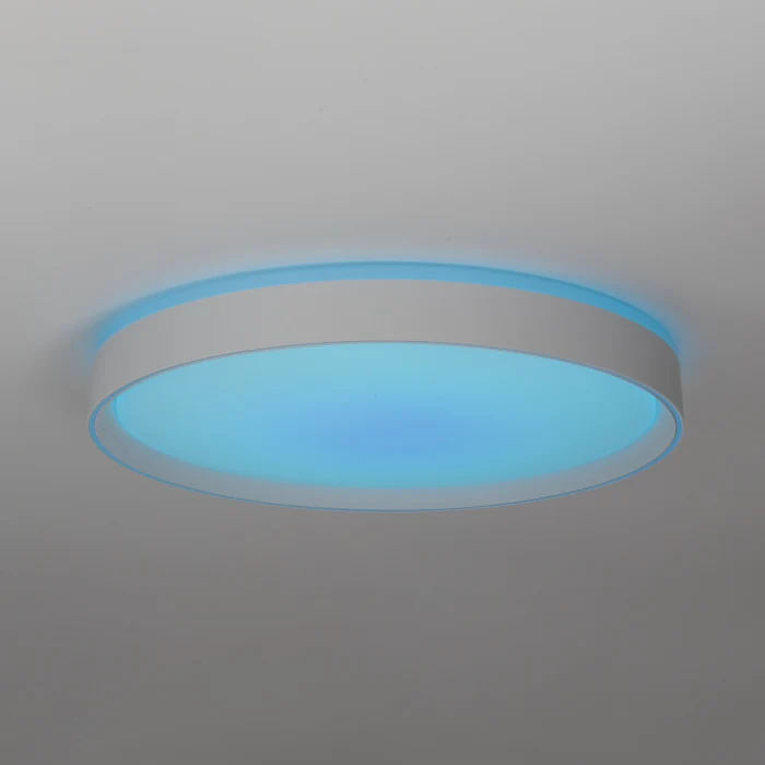 Светильник потолочный Citilux BOSS CL751450G