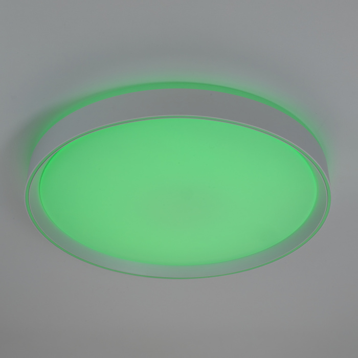 Светильник потолочный Citilux BOSS CL751450G