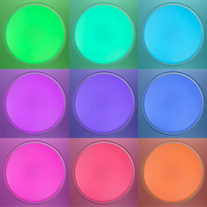 Светильник потолочный Citilux BOSS CL751450G