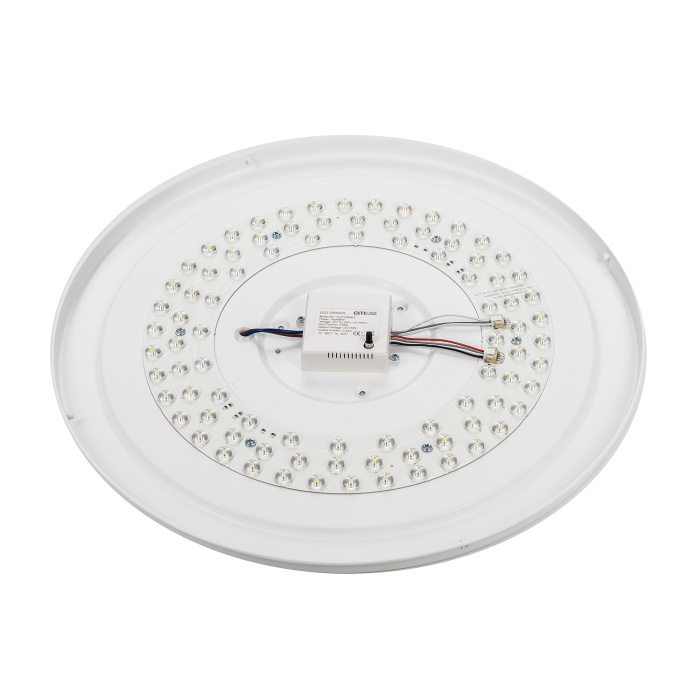 Светильник потолочный Citilux BOSS CL751450G