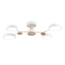 Люстра светодиодная на штанге AMBRELLA light FL4858