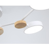 Люстра светодиодная на штанге AMBRELLA light FL4858