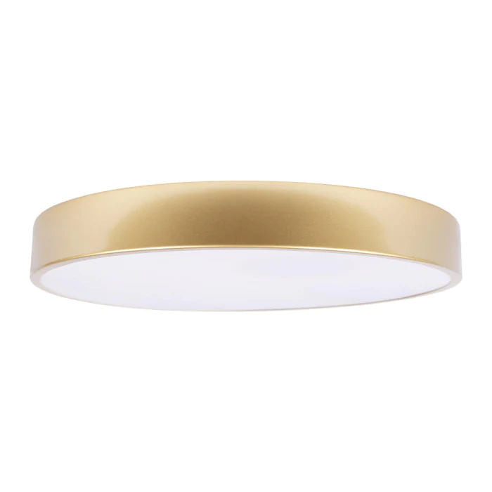 Потолочный светильник LOFT IT Flims 10228/A