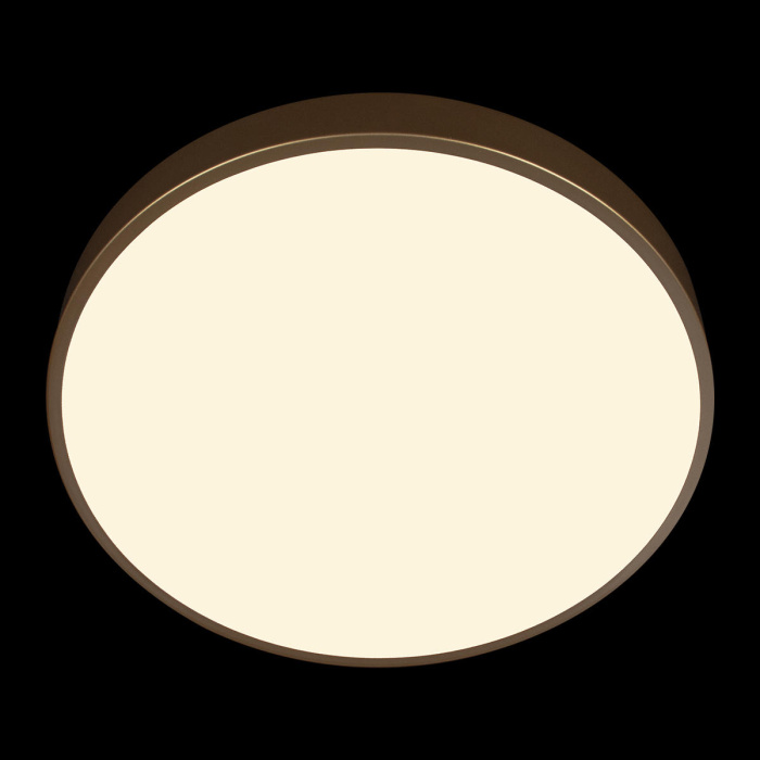 Потолочный светильник LOFT IT Flims 10228/A