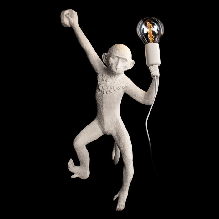 Настенный светильник LOFT IT Monkey 10314W/B