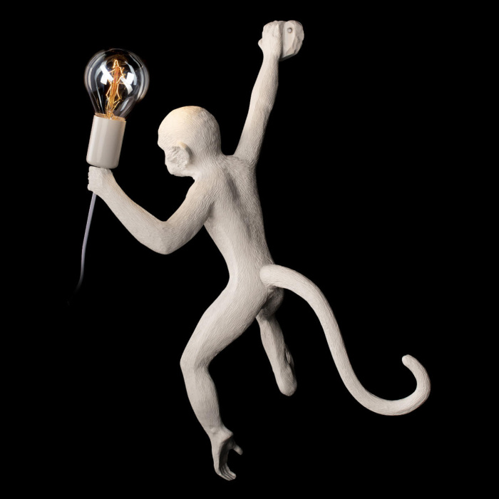 Настенный светильник LOFT IT Monkey 10314W/B