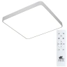 Потолочный светодиодный светильник Arte Lamp Scena A2669PL-1WH