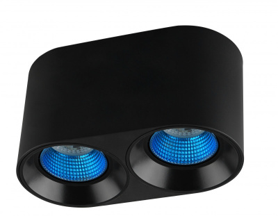 Накладной светильник Denkirs Rodvig DK3096-BK+CY