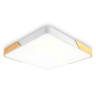 Потолочный светодиодный светильник Ambrella light FZ1313