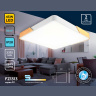Потолочный светодиодный светильник Ambrella light FZ1313