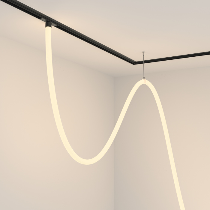 Трековый подвесной светильник Maytoni Tau TR101-2-100W3K-B