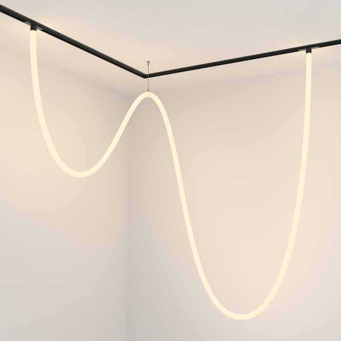 Трековый подвесной светильник Maytoni Tau TR101-2-100W3K-B