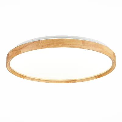 Светильник потолочный SLE201382-01 EVOLUCE