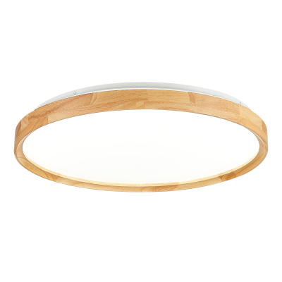 Светильник потолочный SLE201382-01 EVOLUCE