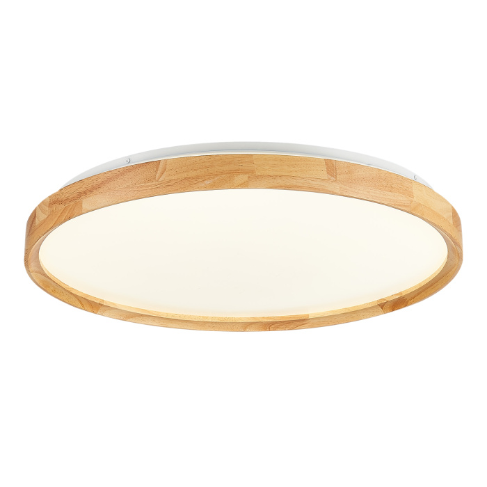 Светильник потолочный SLE201382-01 EVOLUCE