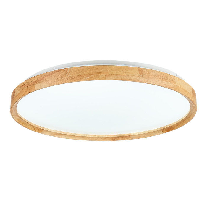 Светильник потолочный SLE201382-01 EVOLUCE