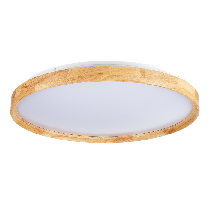 Светильник потолочный SLE201382-01 EVOLUCE