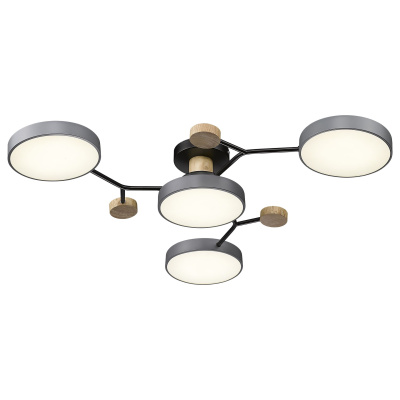 Потолочный светильник 446-207-04 VELANTE