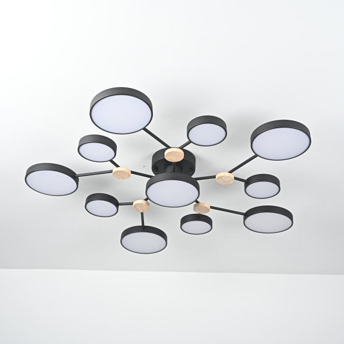 Потолочная люстра GAMMA D102 Black ImperiumLoft