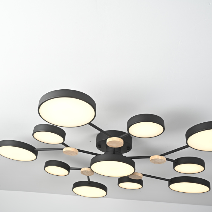 Потолочная люстра GAMMA D102 Black ImperiumLoft