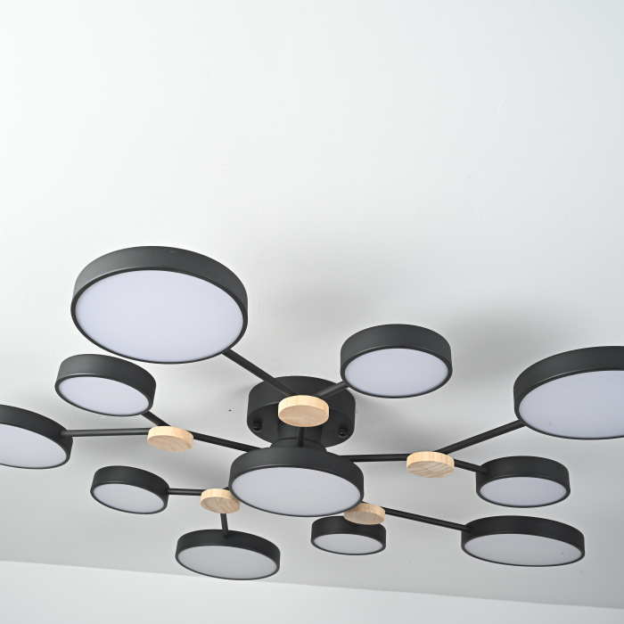 Потолочная люстра GAMMA D102 Black ImperiumLoft