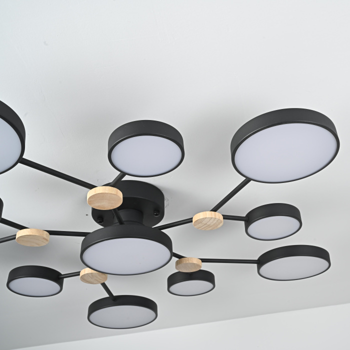 Потолочная люстра GAMMA D102 Black ImperiumLoft