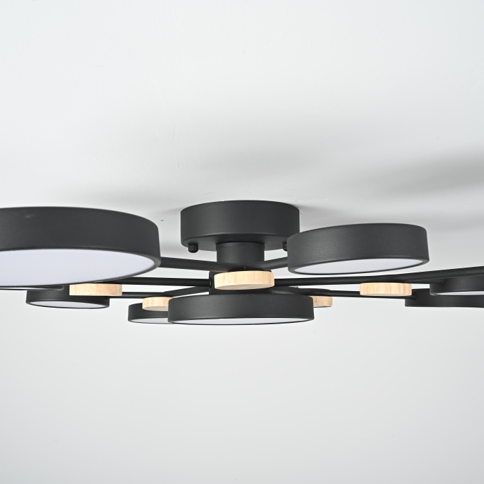 Потолочная люстра GAMMA D102 Black ImperiumLoft