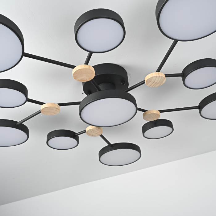 Потолочная люстра GAMMA D102 Black ImperiumLoft