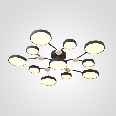 Потолочная люстра GAMMA D102 Black ImperiumLoft