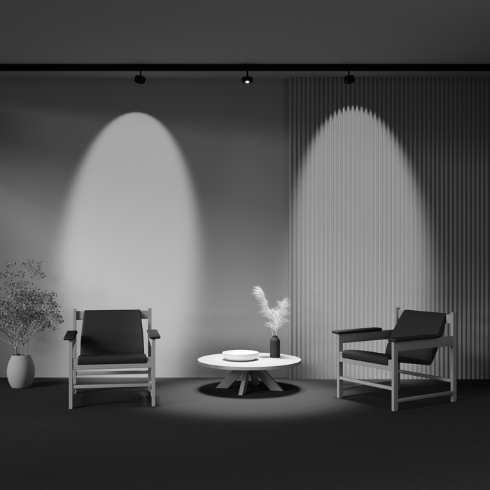 Трековый светильник Maytoni Lens TR217-4-15WTW-DD-B