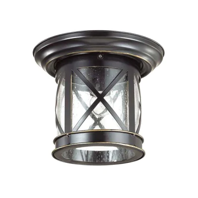 Уличный потолочный светильник ODEON LIGHT 4045/1C