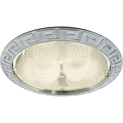 Встраиваемый светильник Arte Lamp DOWNLIGHTS A8015PL-2SS