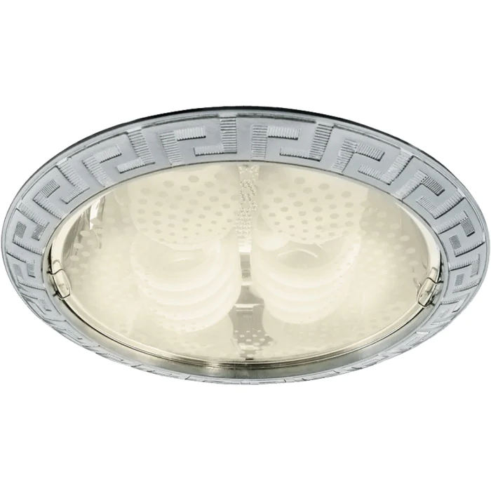 Встраиваемый светильник Arte Lamp DOWNLIGHTS A8015PL-2SS