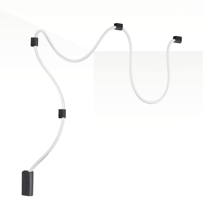 Настенно-потолочный светильник Odeon Light Corda 4391/30CL