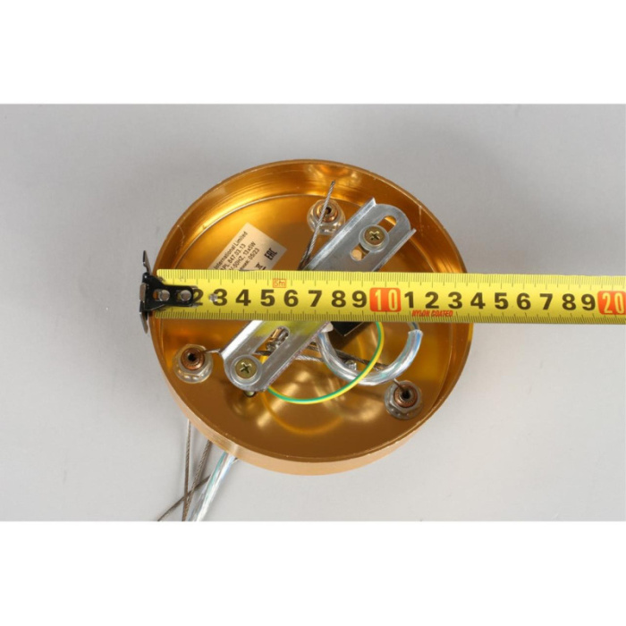 Люстра подвесная Aployt Gertunia APL.847.03.13