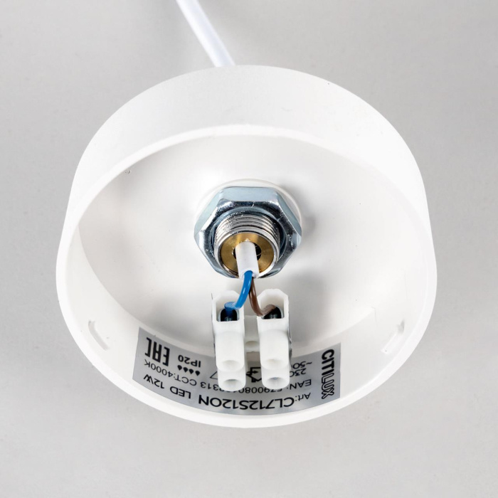 Подвесной светильник Citilux Тао CL712S120N