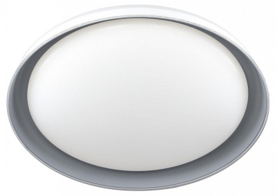 Светильник потолочный Citilux MEGA CL752451G