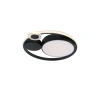 Потолочный светильник Arte Lamp STOCKHOLM A2690PL-1BK