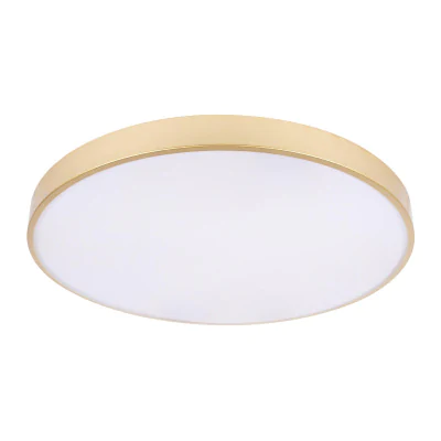 Потолочный светильник LOFT IT Flims 10228/B